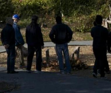 Contemplating their next move