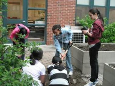 Chenery School Yard Planting Day