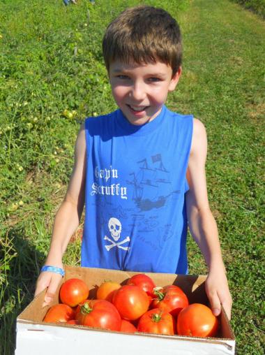 Youngster gleaning produce